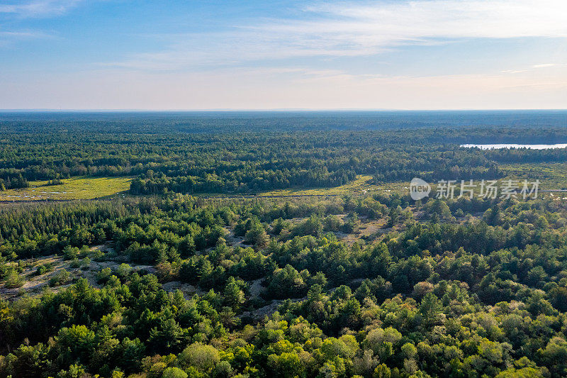 黄昏时的Muskoka Torrance Barrens Dark-Sky保护区，Gravenhurst，加拿大